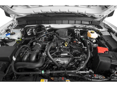 2023 Ford Bronco Everglades