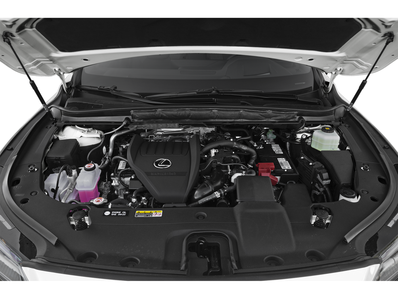 2024 Lexus RX 350 Luxury