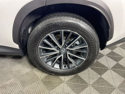 2025 Lexus NX 250 Premium