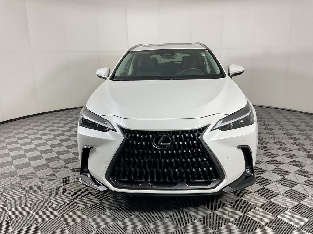 2025 Lexus NX 250 Premium