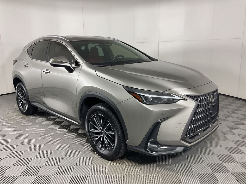 2024 Lexus NX 250 Premium