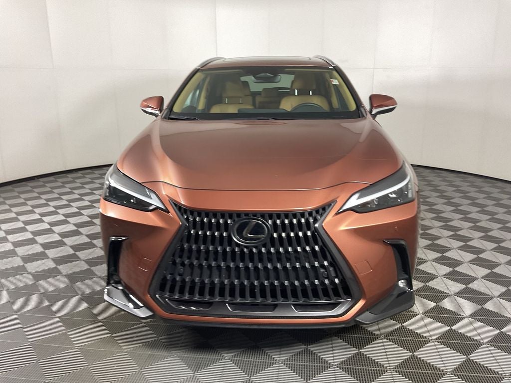 2025 Lexus NX 250 Premium