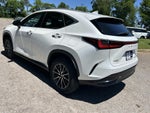 2024 Lexus NX 250 NX 250 Premium