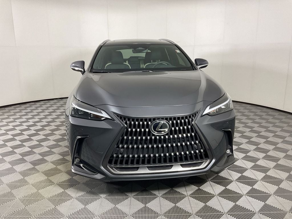 2024 Lexus NX 250 Premium