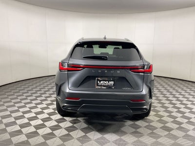 2024 Lexus NX 250 Premium