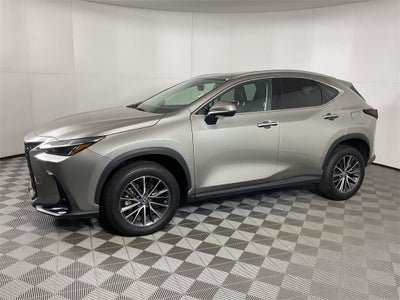 2023 Lexus NX 350 Premium