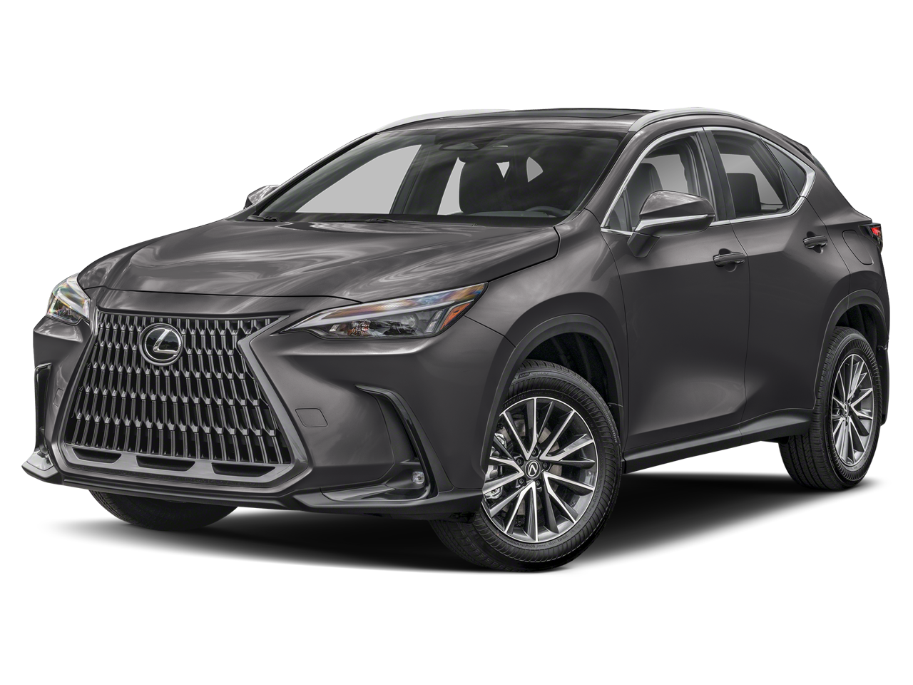 2024 Lexus NX 350h Premium
