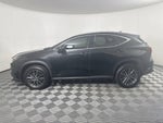 2024 Lexus NX 350h Premium