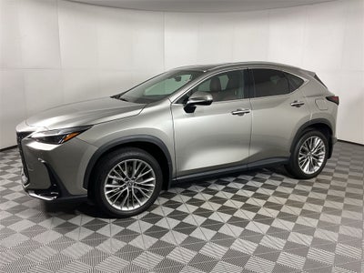 2025 Lexus NX 350h Premium