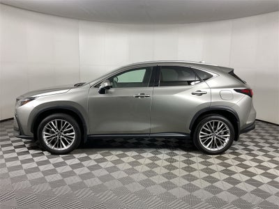 2025 Lexus NX 350h Premium