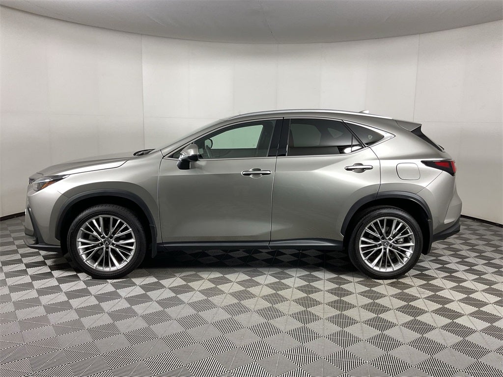 2025 Lexus NX 350h Premium