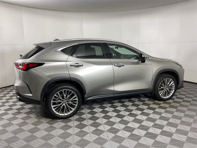 2025 Lexus NX 350h Premium
