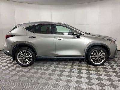 2025 Lexus NX 350h Premium