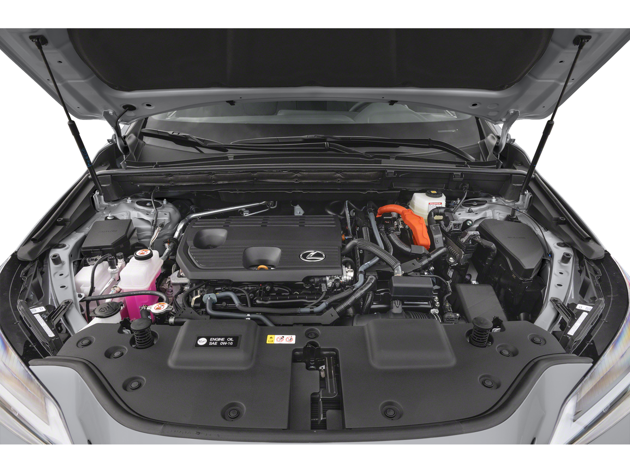 2025 Lexus NX 350h Premium