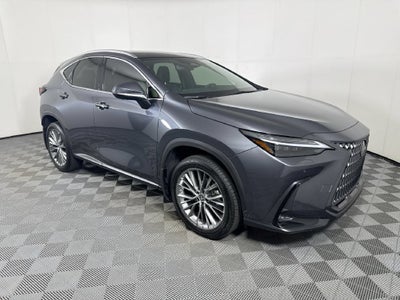 2023 Lexus NX 350 Luxury