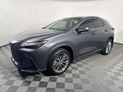 2023 Lexus NX 350 Luxury