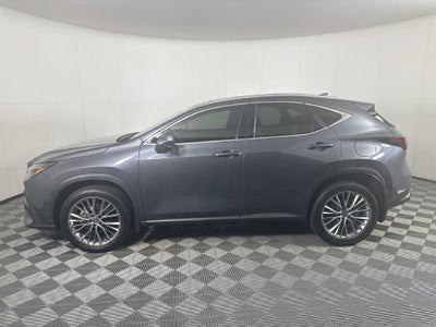 2023 Lexus NX 350 Luxury