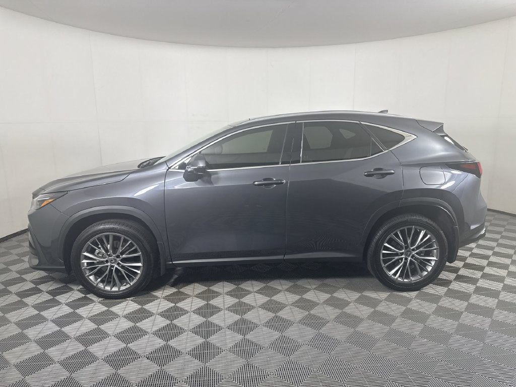 2023 Lexus NX 350 Luxury