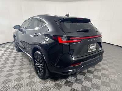 2024 Lexus NX 350 Luxury