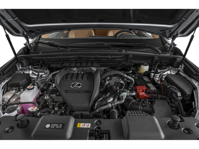 2025 Lexus NX 350 Luxury