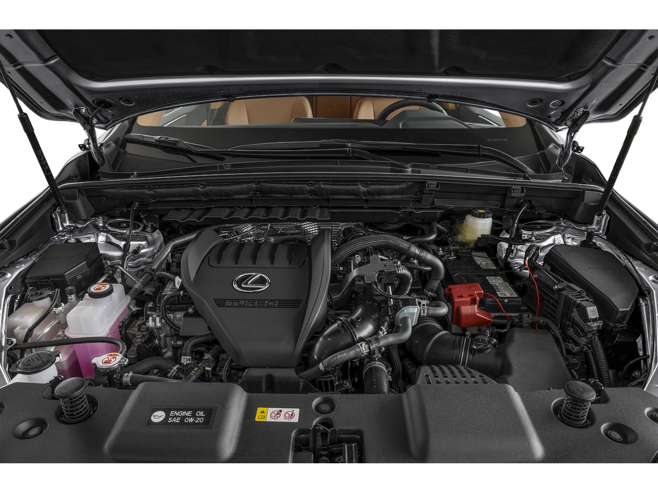 2025 Lexus NX 350 Luxury