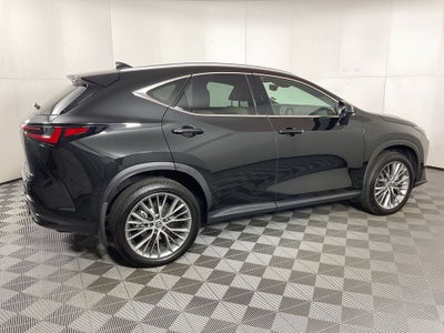 2024 Lexus NX 350h Luxury