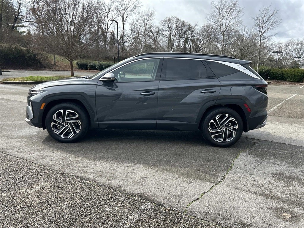 2025 Hyundai Tucson Limited