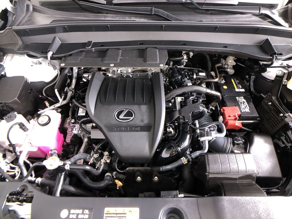 2025 Lexus TX 350 Premium