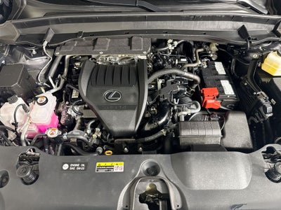 2025 Lexus TX 350 Premium