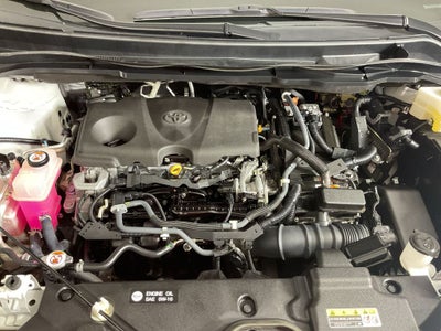 2021 Toyota Sienna Platinum 7 Passenger