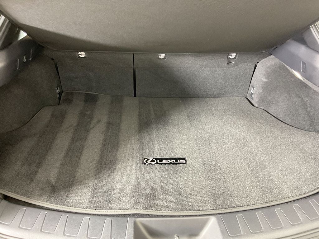 2025 Lexus UX 300h Premium