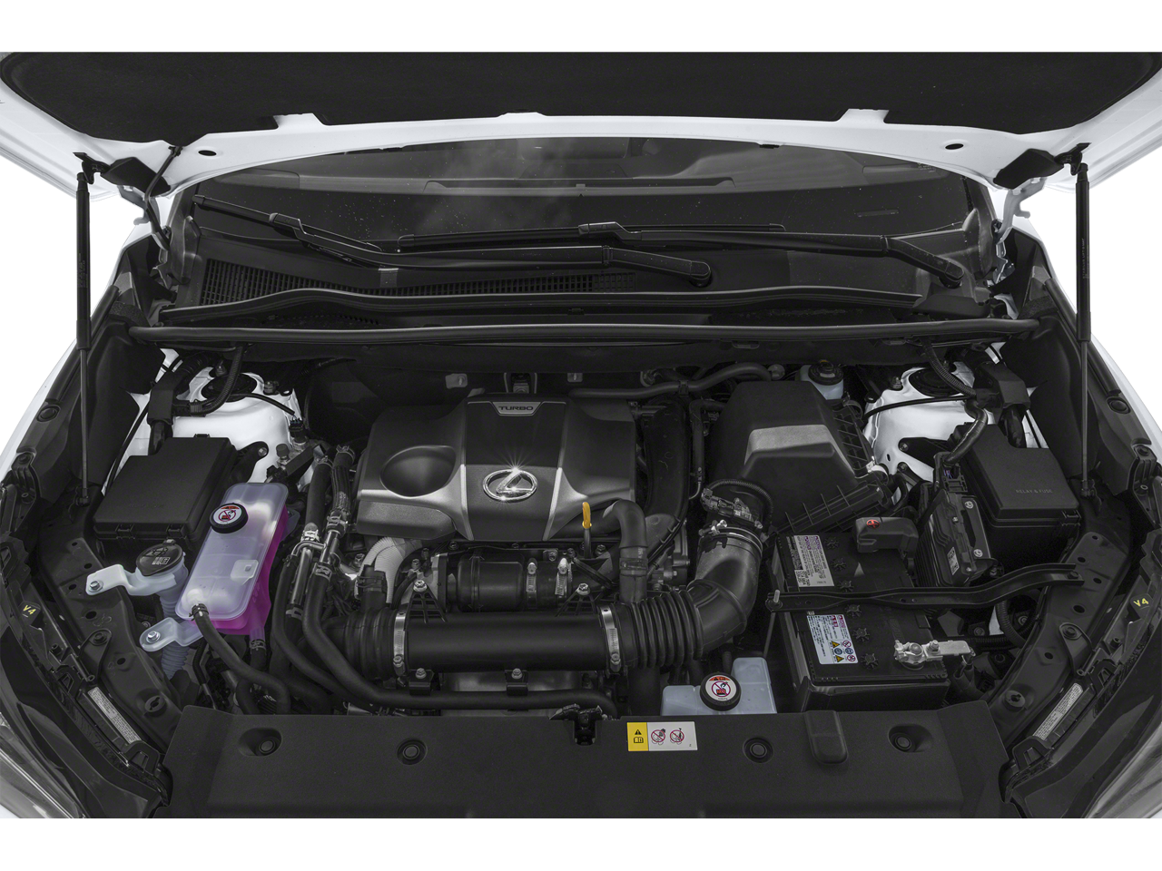 2019 Lexus NX 300 F SPORT