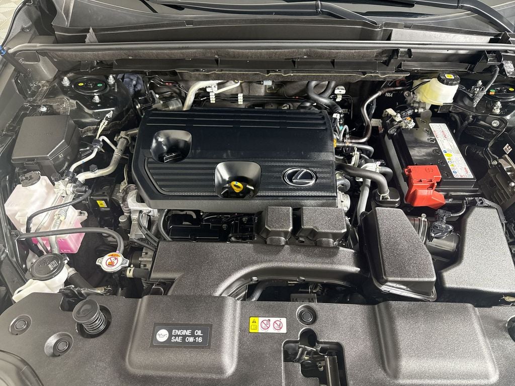 2024 Lexus NX 250 Premium