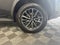2024 Lexus NX 250 Premium