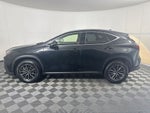 2024 Lexus NX 250 Premium
