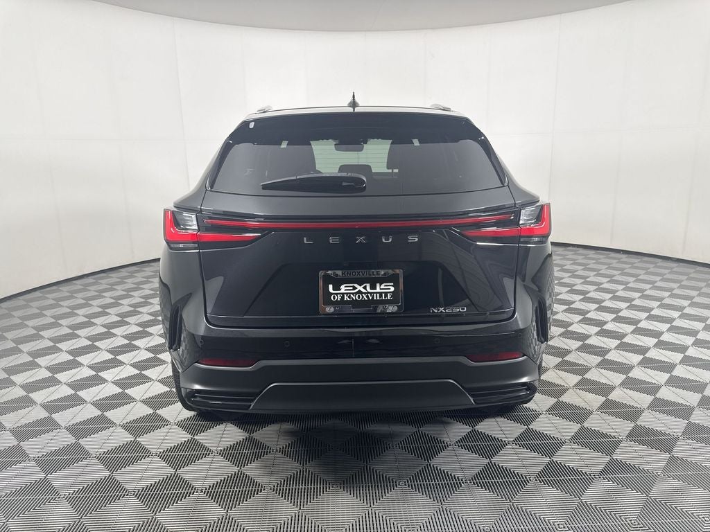 2024 Lexus NX 250 Premium