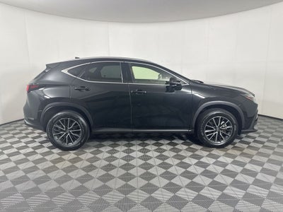 2024 Lexus NX 250 Premium