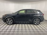 2020 Lexus NX 300h Premium