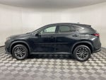2024 Lexus NX 350h Premium