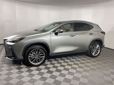 2025 Lexus NX 350h Premium