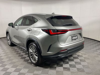 2025 Lexus NX 350h Premium