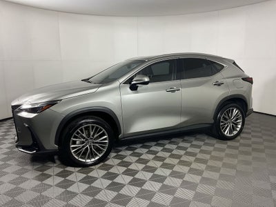 2025 Lexus NX 350h Premium