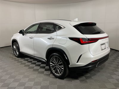 2023 Lexus NX 350h Luxury