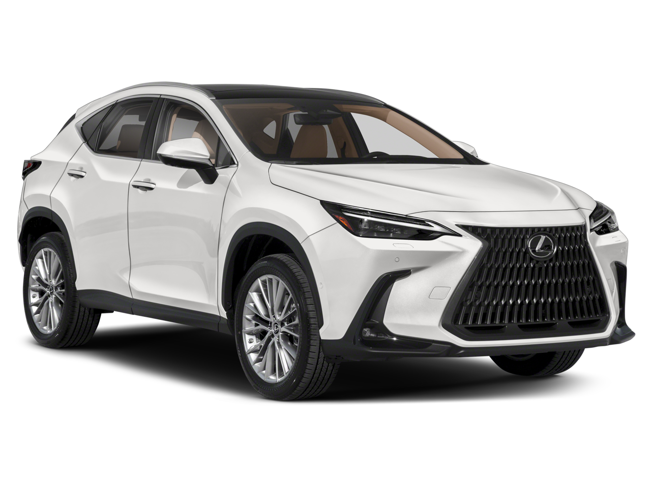 2023 Lexus NX 350h Luxury