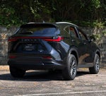 2025 Lexus NX 350h Base