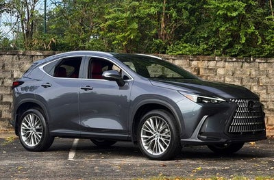 2025 Lexus NX 350 Premium