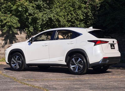 2021 Lexus NX 300h