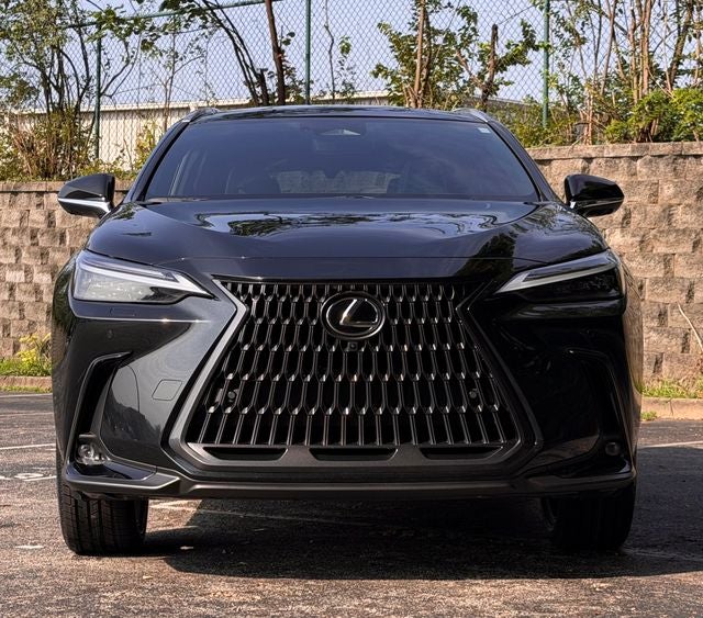 2024 Lexus NX 350h Luxury