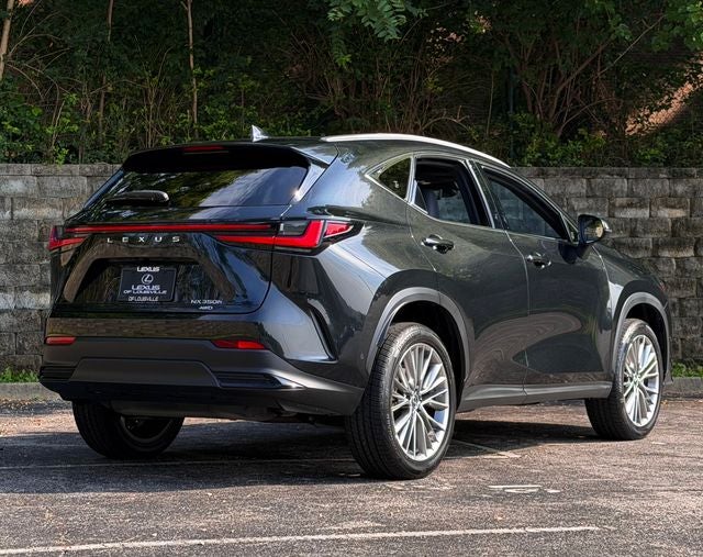 2024 Lexus NX 350h Luxury