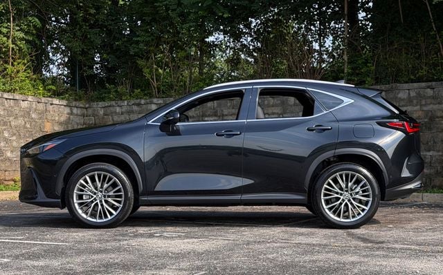 2024 Lexus NX 350h Luxury